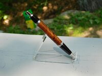 DSCN1154.jpg
