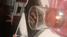20170722_210656.jpg