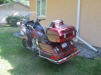 IMG_1557.jpg