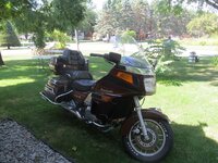 IMG_1559.jpg