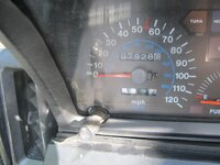 IMG_1561.jpg