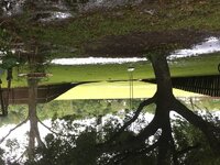 IMG_0595.jpg
