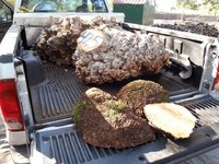20170829_090444.jpg