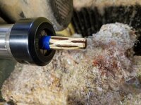 CEP-17-FinishedEnd.jpg CEP-17-FinishedEnd.jpg
