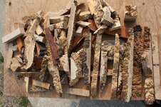 brown mallee cut offs.jpg