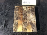 bp74aa.jpg