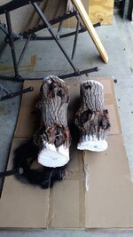IMG_20171013_113110908.jpg