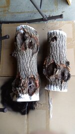IMG_20171013_113059598.jpg
