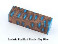 Banksia_HalfB_SB.jpg