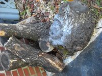 DSCN6797.jpg
