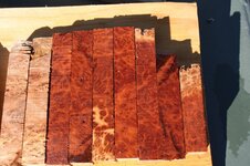 red mallee burl.jpg
