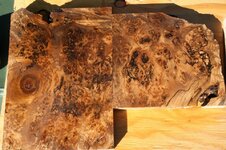 maple burl slabs.jpg