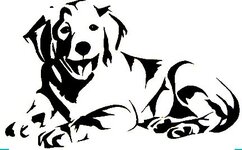 Golden Retriber.JPG