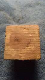 IMG_20171204_104641365.jpg