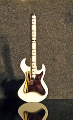 Classic Guitar Roller Pen 017_edited-1.jpg