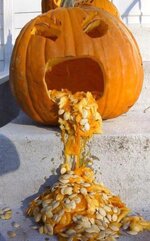 PUMPKIN.jpg