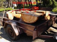 timber preparation 0277_(1).jpg