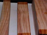 timber preparation 603_(1).jpg