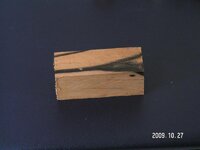 Unknown Wood.jpg