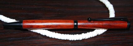 Pen #2.jpg