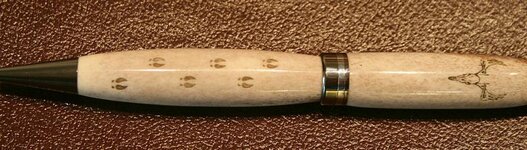 Shawn's dad's pen.jpg