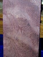 CurlyPurpleheart1 168X225.jpg