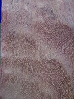 CurlyPurpleheart2 168X225.jpg