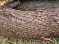 IMG_2873.jpg