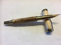 Theresas Pen II.jpg