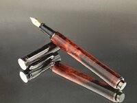 Tortoise shell FP open.jpg