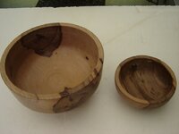 Mangrove Bowl 2 Bowl Saver.jpg