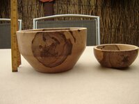 Mangrove Bowl 5.jpg