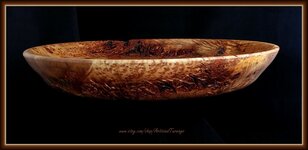Burl Platter - S1(F+).jpg