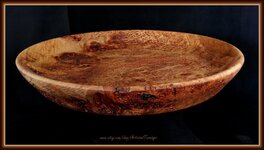 Burl Platter - S3(F+).jpg