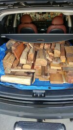 First Trunkfull.jpg