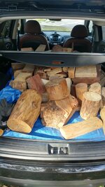 Second Trunkfull.jpg