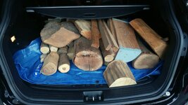 Third Trunkfull.jpg