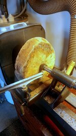 Burl Blank.jpg
