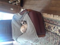 20171216_123834.jpg