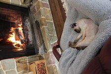 IMG_0378.jpg