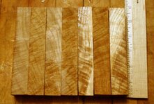 Oak 001.jpg