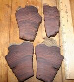 Cocobolo slices 003.jpg