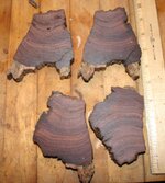 Cocobolo slices 004.jpg