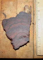 Cocobolo slices 006.jpg