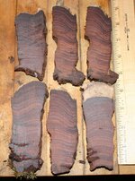 lot1a coco slices.jpg