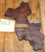 cs3.jpg