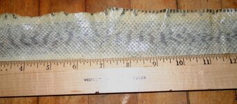 snakeskin1.jpg