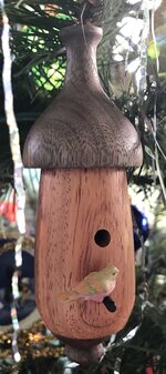 IMG_0375.jpg