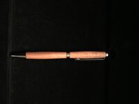 1stPen.jpg
