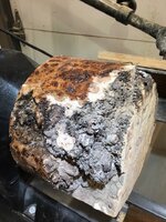Red Elm Burl #2 A.jpg
